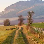 Qi Gong Haus * Rossdorf (Thuringia)