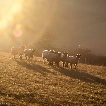Qi Gong Haus Rossdorf (Thuringia)