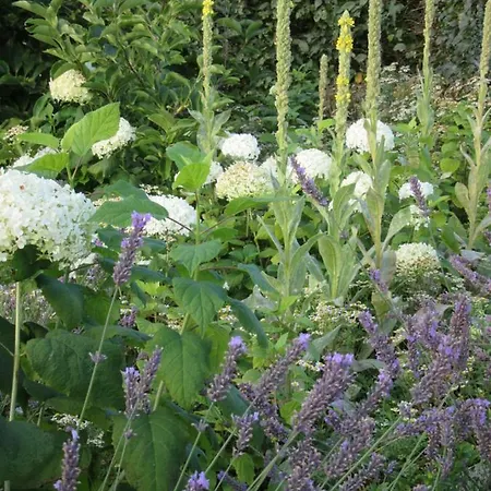 Qi Gong Haus 公寓 Rossdorf (Thuringia)