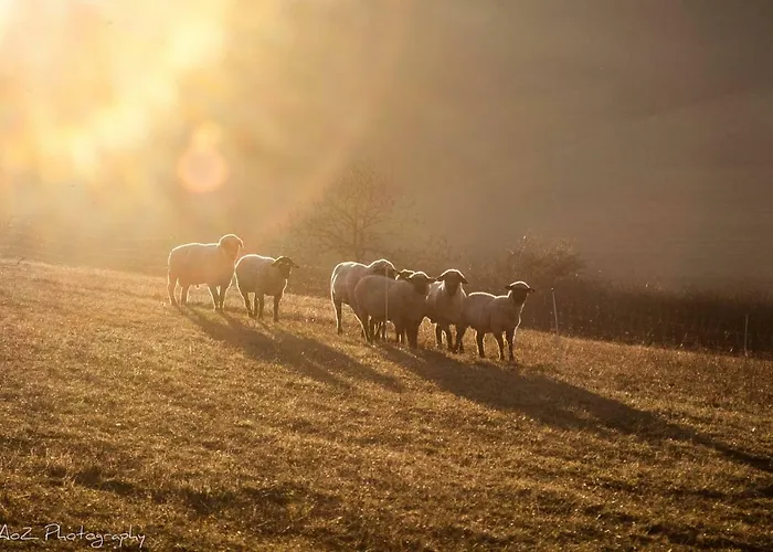 Qi Gong Haus Rossdorf (Thuringia)