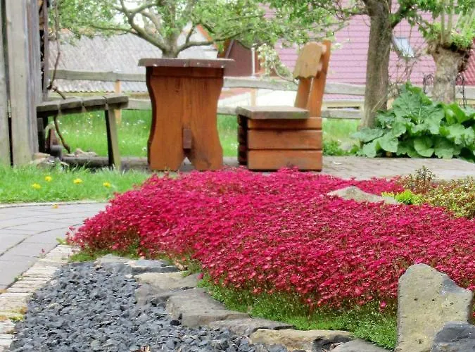 Lejlighed Qi Gong Haus