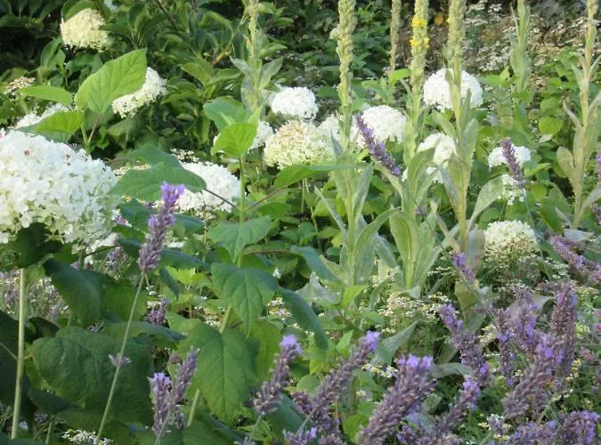 Qi Gong Haus Lejlighed Rossdorf (Thuringia)